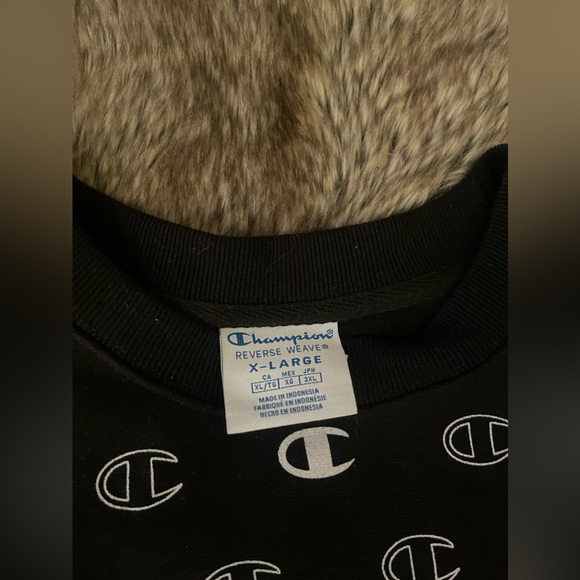 Champion Crewneck Sweatshirt - Picture 3 of 3